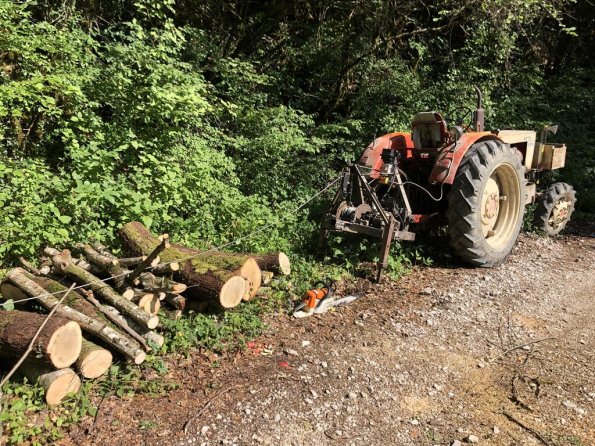 BoisRocher_230623-02.t1