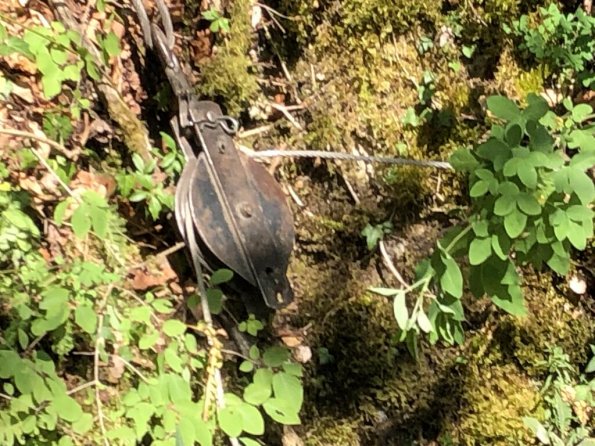 BoisRocher_230623-03.t1