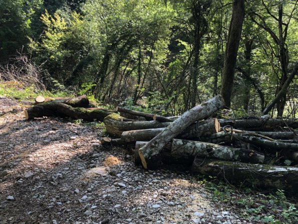 BoisRocher_230623-04.t1