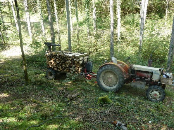 BoisRocher_230805-01.t1