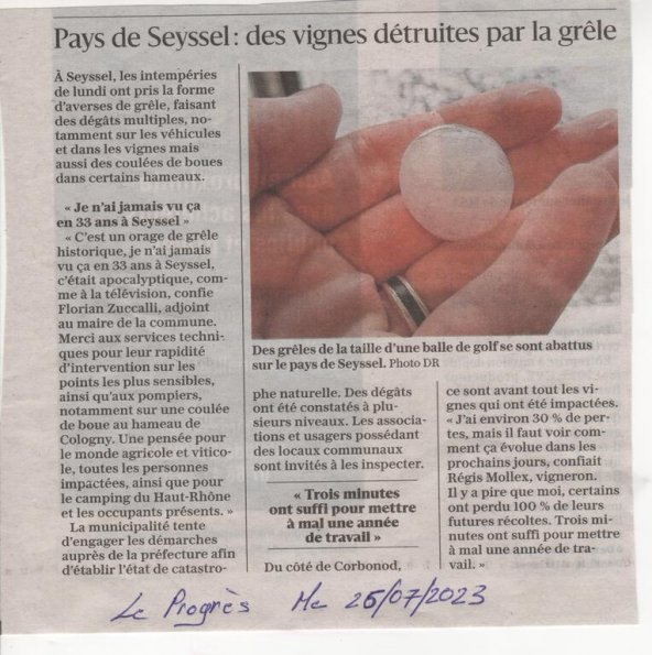 230724_Grêle_Art-PRG-230726.t0