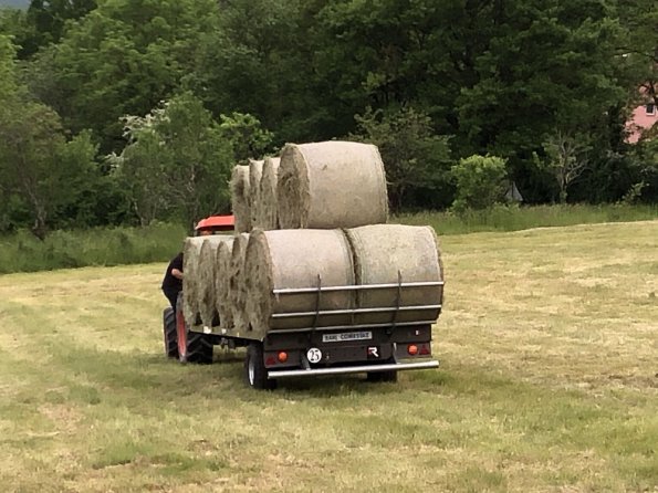 250502_Foins-1ere-coupe_1.t2