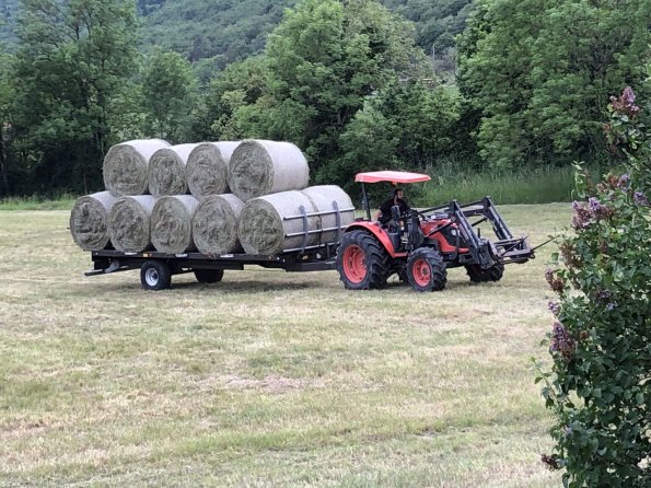 250502_Foins-1ere-coupe_2.t2